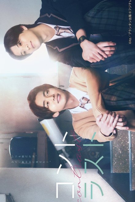 Poster for Contrast (Japanese Drama 2026)