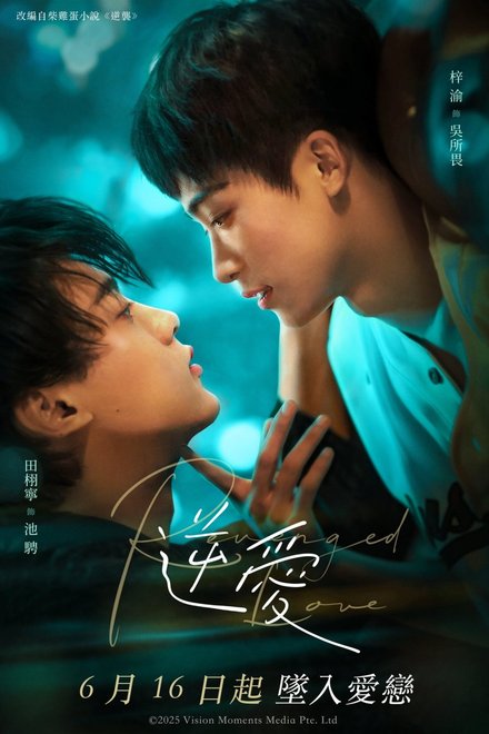 Poster of Revenged Love (2025)