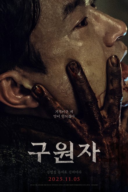 Poster for The Favor (2025)