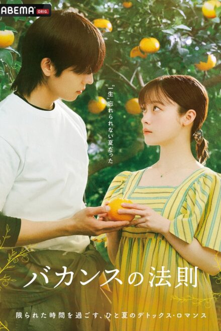 Poster of The Vacation Principle (2026)