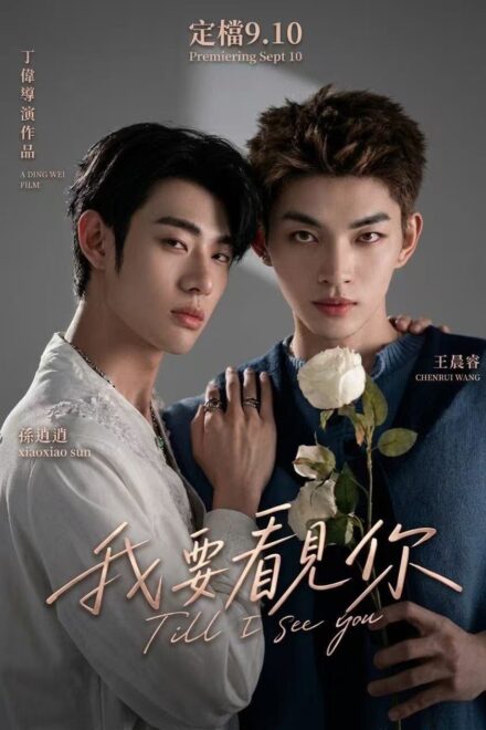 Poster of Till I See You (2026)